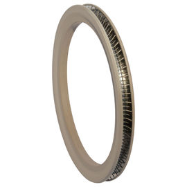 Coil Spring And V Spring Energized PTFE Static Seal Or Rotary Seal