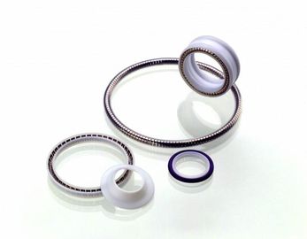 Уплотнение PTFE, весна подпитало уплотнение тефлона, уплотнение тефлона роторное, уплотнение PTFE статическое